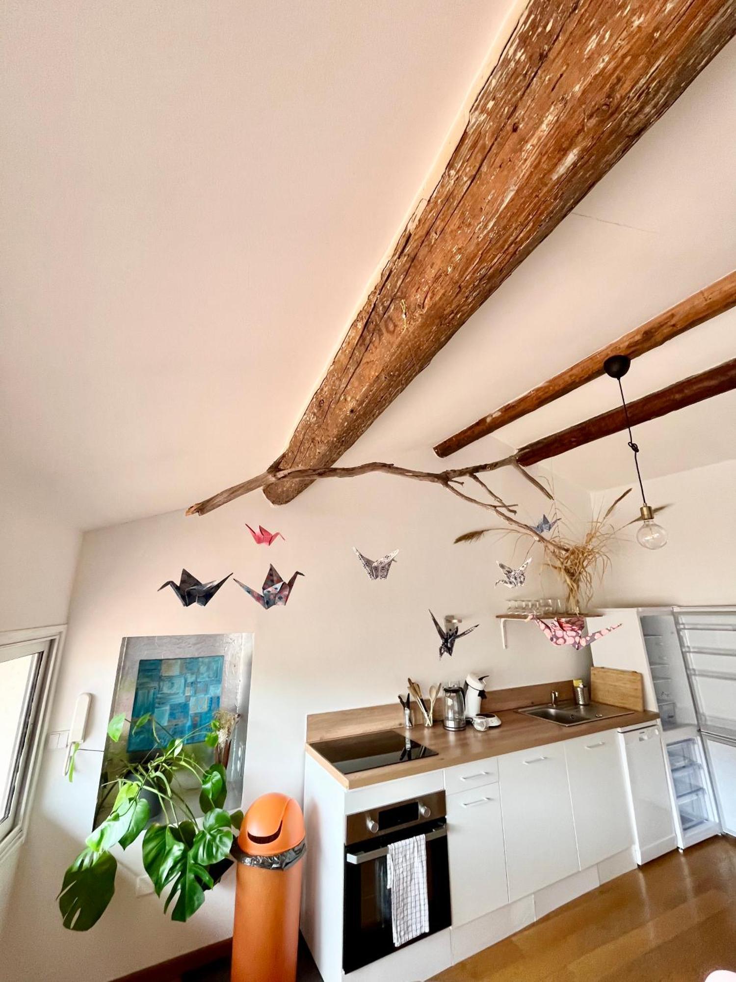 A Spacious, Sunny & Calm Loft In Avignon'S Heart Kültér fotó